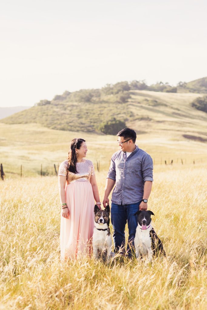 Expectant couple with their dogs during an outdoor maternity photography session